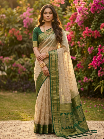 Shree Shyam Fashion Chiku With Green Cotton Saree