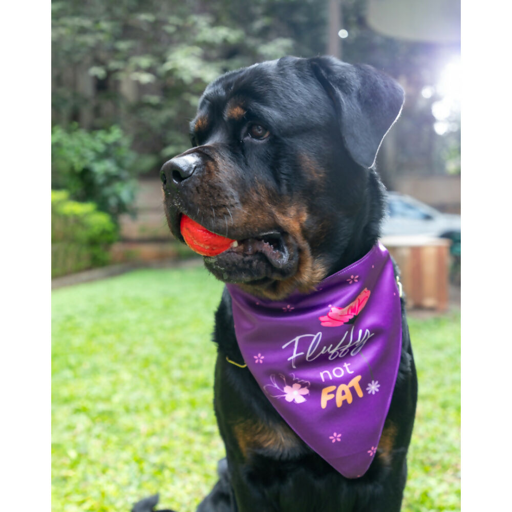 Waggety Dog Bandana - Fluffy Not Fat, Design Soft Fabric, Stylish Pet Accessory for Dogs - Purple