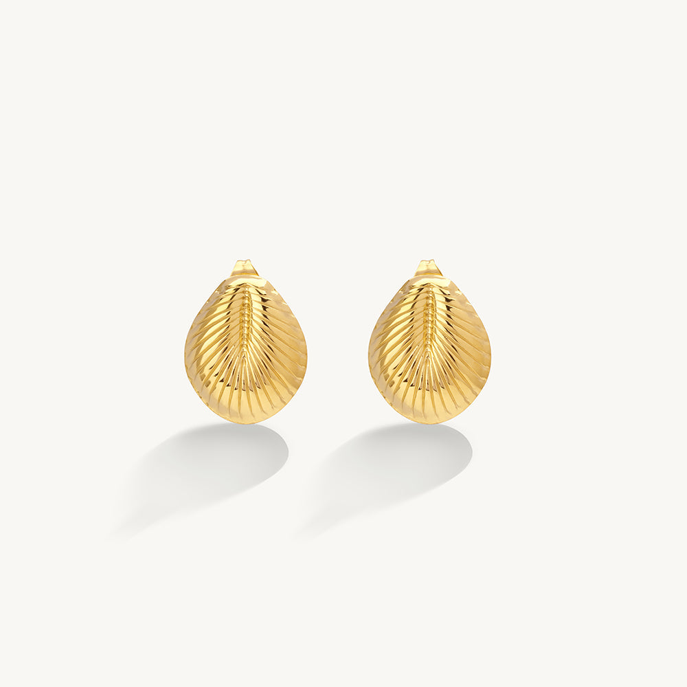 Chic Shell Stud Earrings