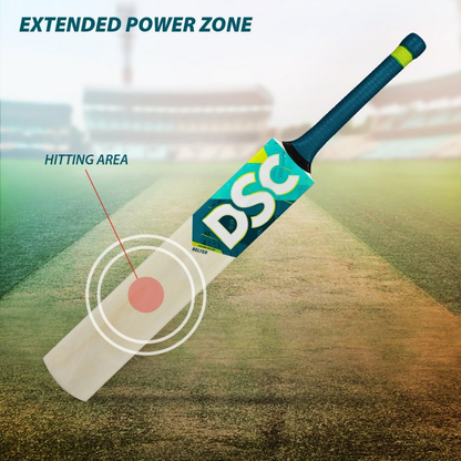 DSC Belter Wood Kashmir Willow Cricket Bat