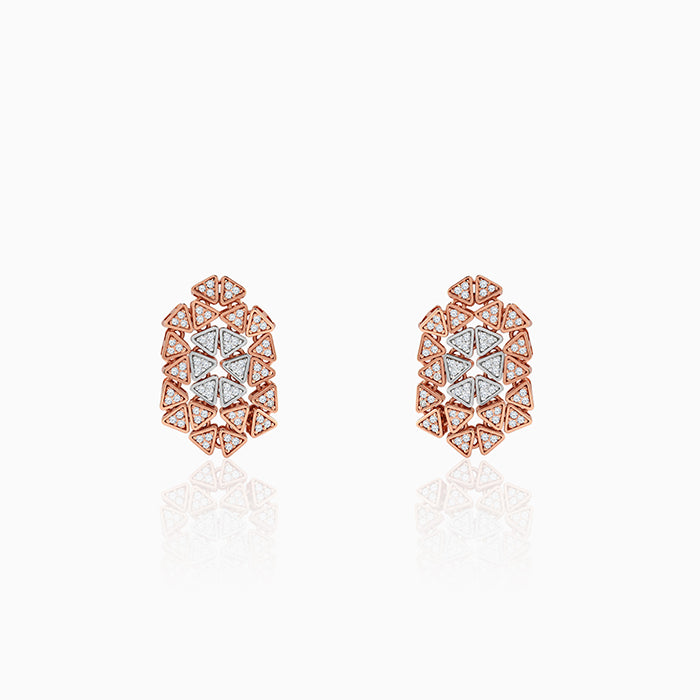 Dual Tone Aurora Angle Silver Earrings