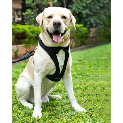 Waggety Tuxedo Dog Harness - Stylish Black & White Design, Adjustable Fit, Durable Fabric, Elegant Pet Harness for Dogs