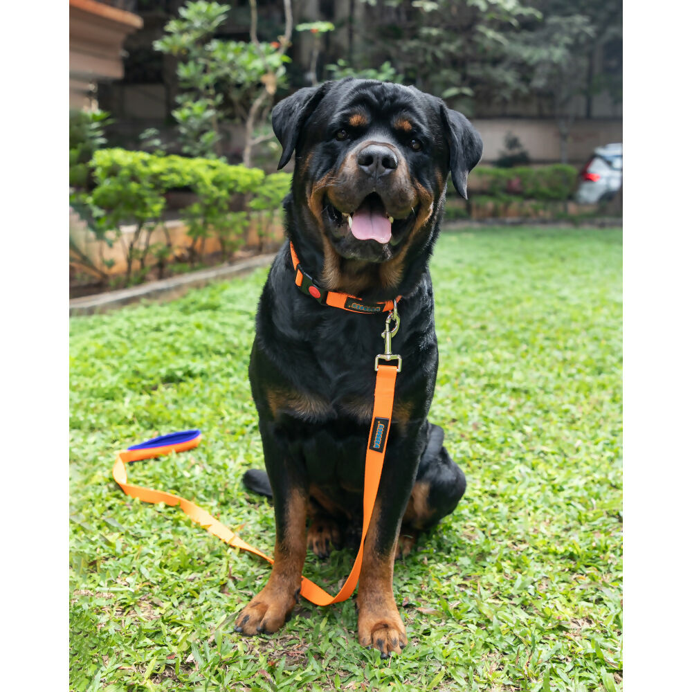 Waggety Dog Leash - Durable Orange Polyester, Length - 5Ft, Comfortable Grip, Stylish Pet Leash for Dogs