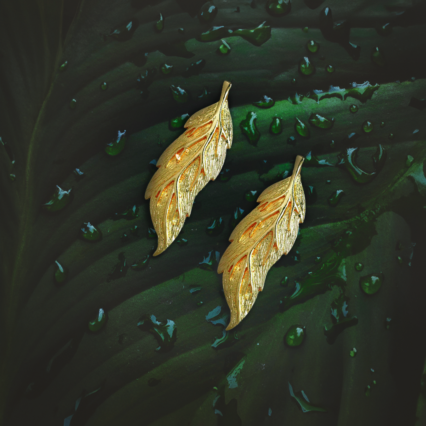 Estele Trendy Modernwomen Designer Pretty Leaf Earrings for women