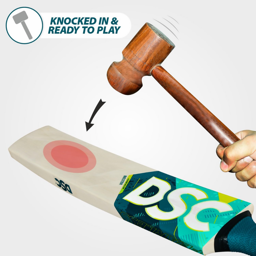 DSC Belter Wood Kashmir Willow Cricket Bat
