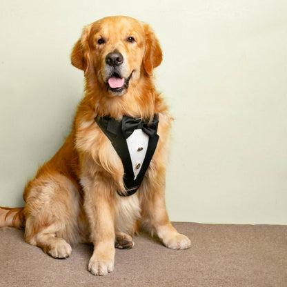 Waggety Tuxedo Dog Harness - Stylish Black & White Design, Adjustable Fit, Durable Fabric, Elegant Pet Harness for Dogs
