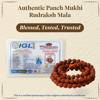 Pujashree Rudraksh Mala Small 8mm  Sacred Prayer Beads for Meditation, Chanting & Spiritual Wear