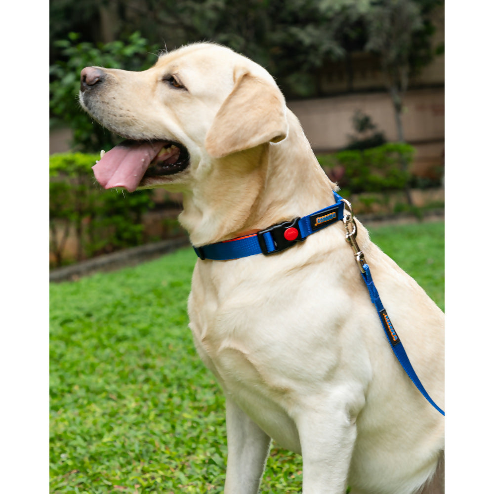 Waggety Dog Leash - Durable Blue Polyester, Length - 5Ft, Comfortable Grip, Stylish Pet Leash for Dogs