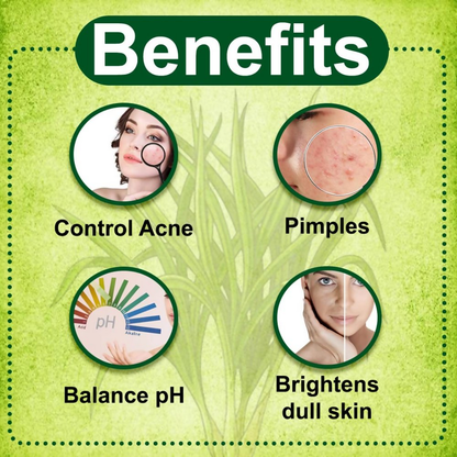 VedicAyurveda Lemongrass Hydrosol Skin Toner With Glycerine