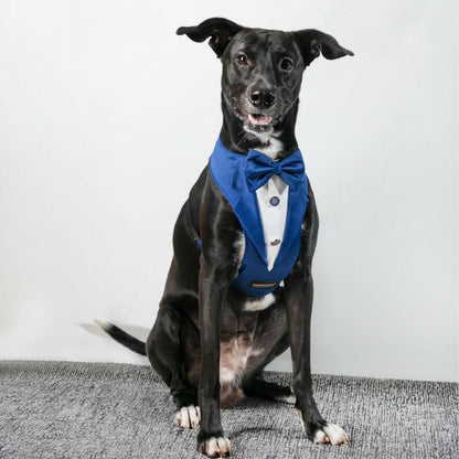 Waggety Tuxedo Dog Harness - Stylish Blue & White Design, Adjustable Fit, Durable Fabric, Elegant Pet Harness for Dogs