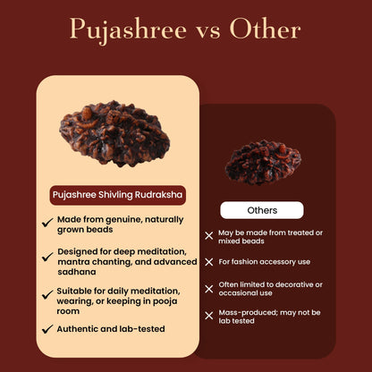 Pujashree Shivling Rudraksh  Divine Rudraksha for Lord Shiva Blessings, Spiritual Growth & Protection
