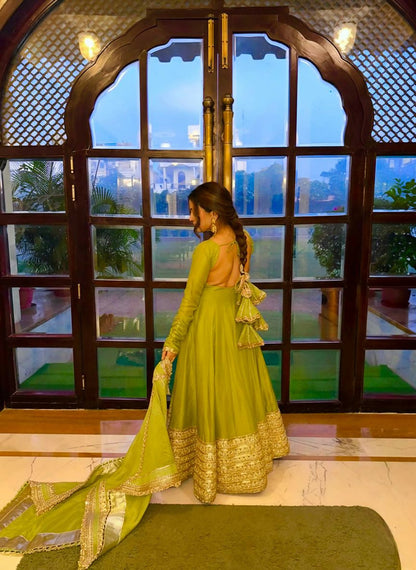 Teeya Creation Womens New Fancy Silk Heavy Quality Fabric With Handwork Light-Green Gown Set