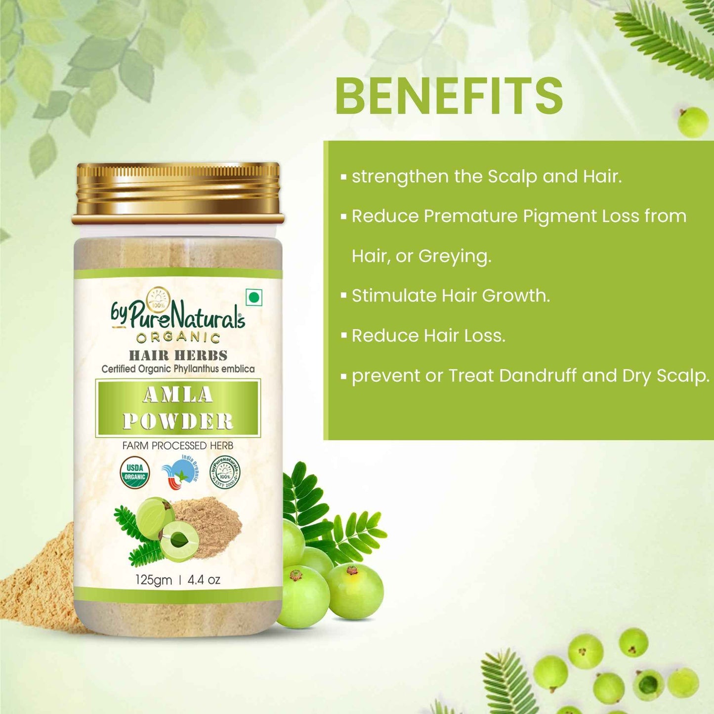 byPureNaturals Organic Amla Powder