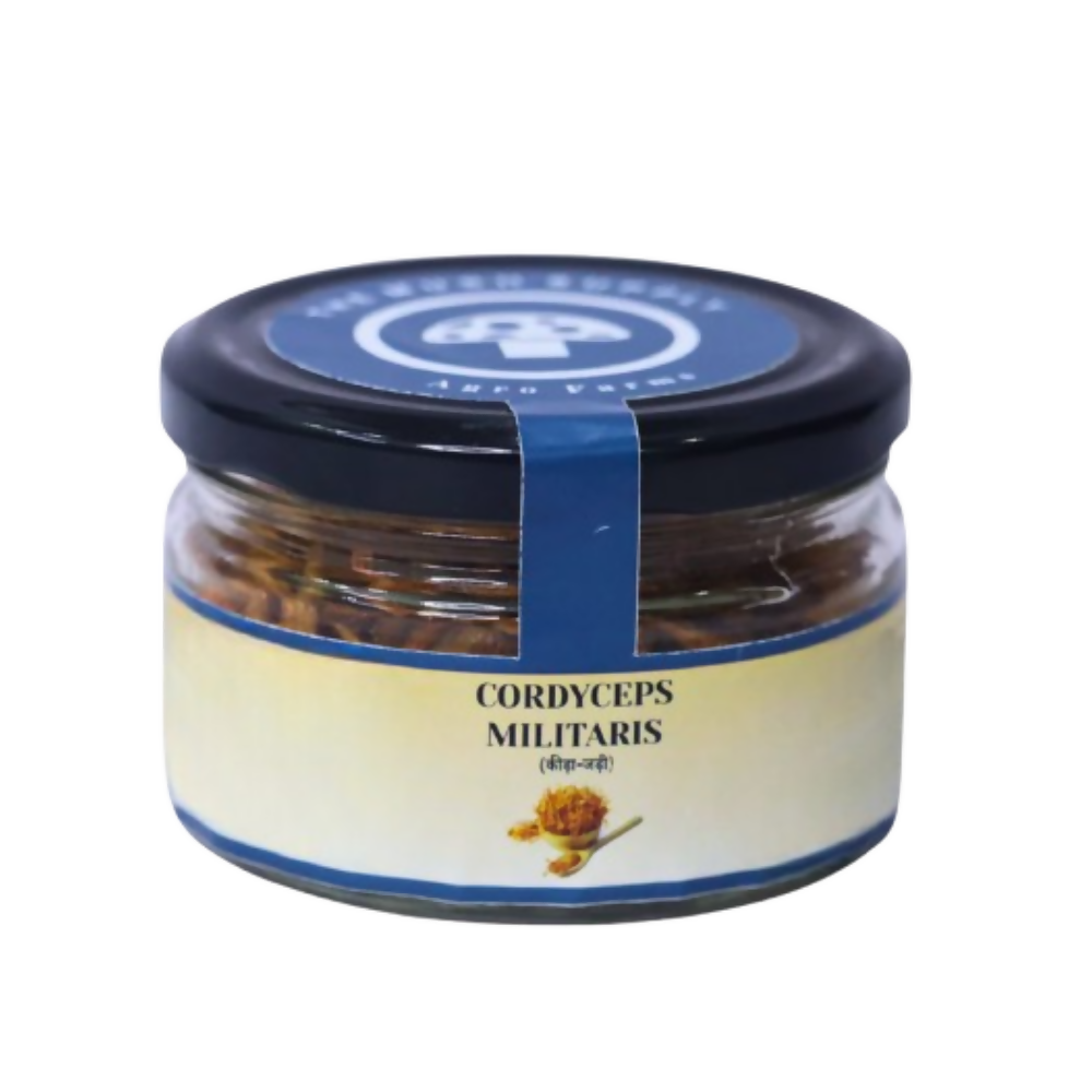 The Mush Supply Agro Farms Cordyceps Dried Fruiting Body