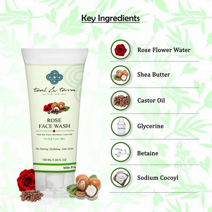Teal and Terra Rose Face Wash