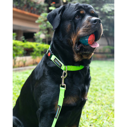 Waggety Dog Leash - Durable Green Polyester, Length - 5Ft, Comfortable Grip, Stylish Pet Leash for Dogs