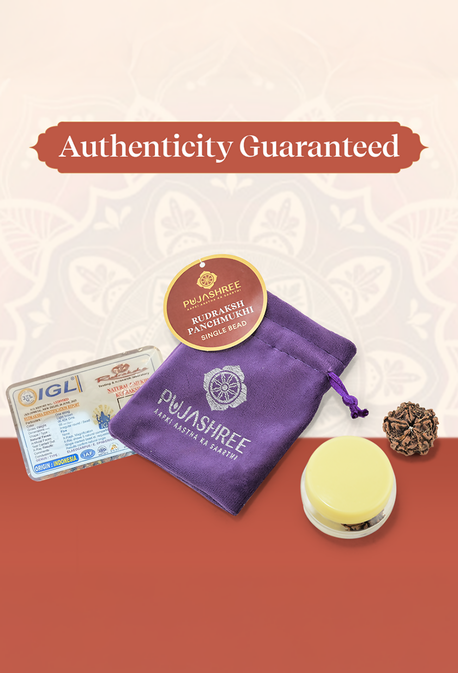 Pujashree Panchmukhi Rudraksh Single Bead  Sacred Five Mukhi Rudraksha for Protection & Peace