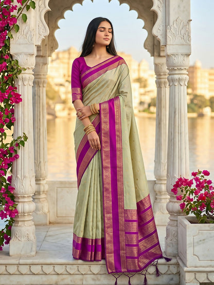 Shree Shyam Fashion Chiku Silk Blend Saree