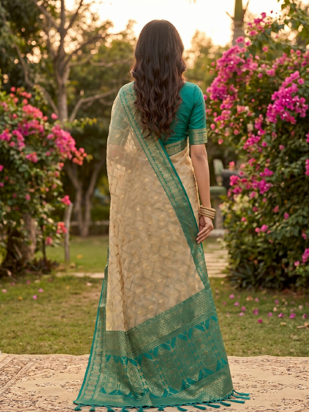Shree Shyam Fashion Chiku With Rama Cotton Saree
