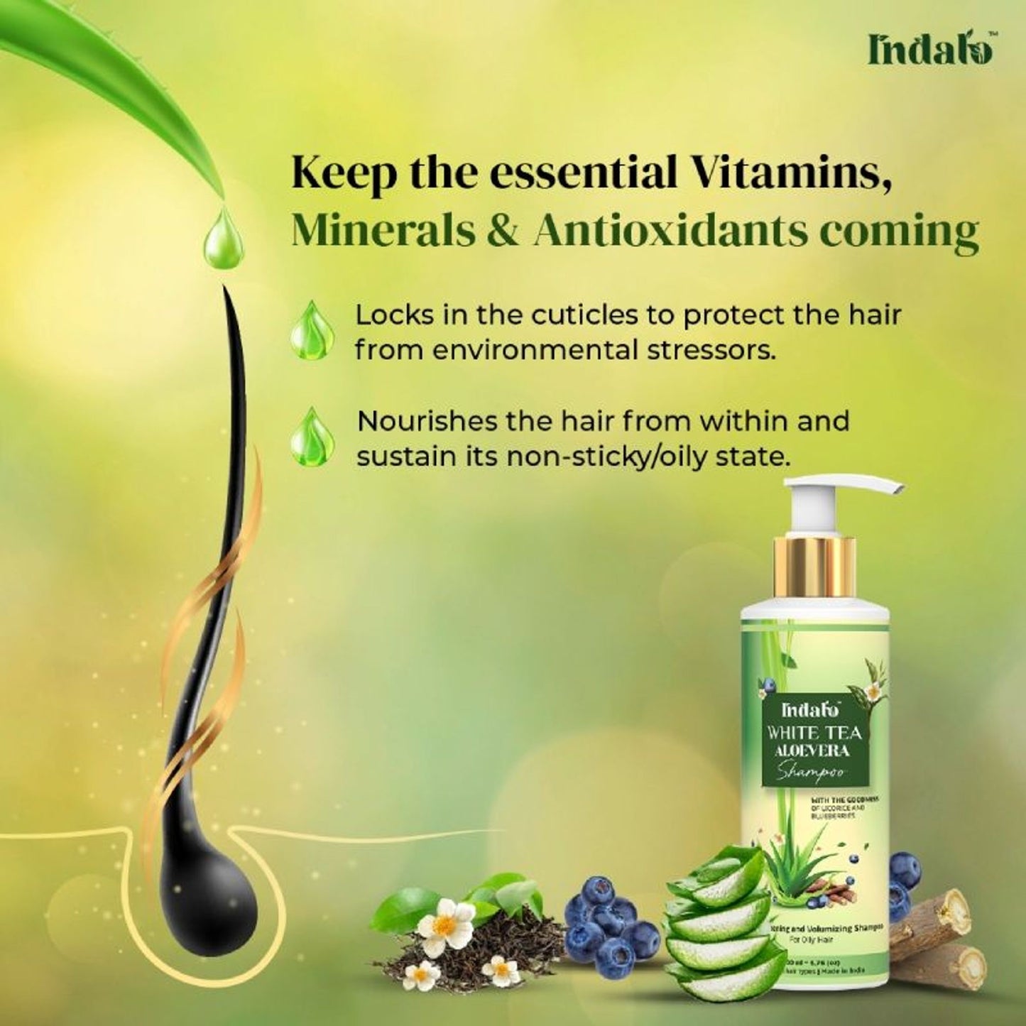Indalo White Tea Aloe Vera Shampoo For Oily Hair