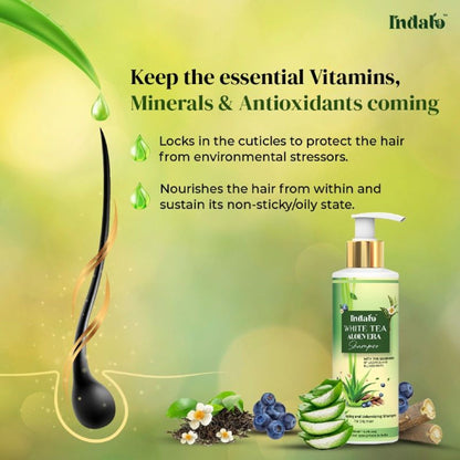 Indalo White Tea Aloe Vera Shampoo For Oily Hair
