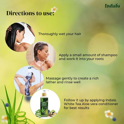 Indalo White Tea Aloe Vera Shampoo For Oily Hair