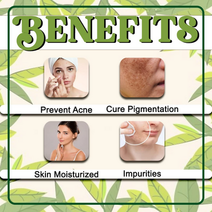 VedicAyurveda Tea Tree Hydrosol Skin Toner with Glycerine