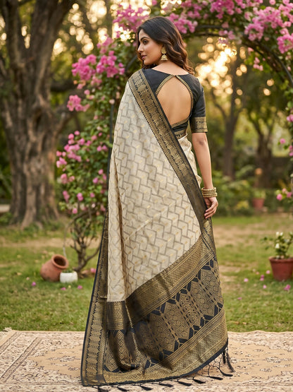 Shree Shyam Fashion Chiku With Black Cotton Saree