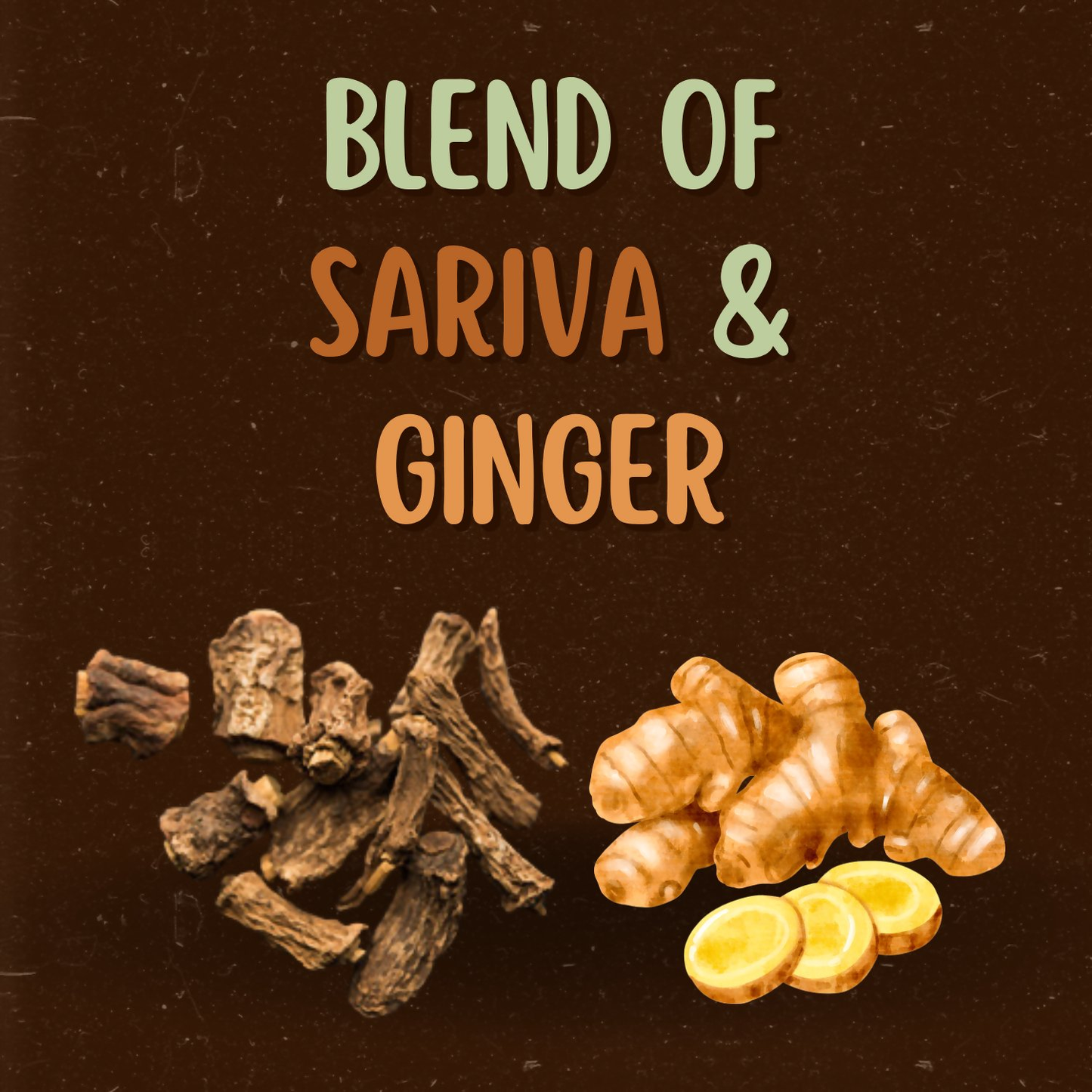 Satvi Wellness Sariva Ginger Herbal Infusion Mix In Indvidual Packets | Herbal Tea Sache
