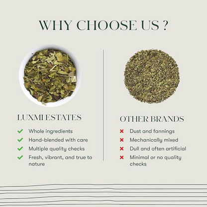 Luxmi Estates Moringa Mint Herbal Infusion