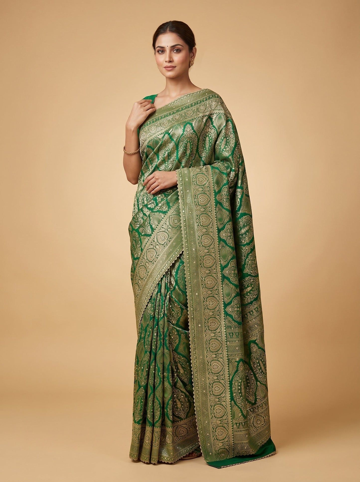 Green Embroidered Saree with Woven Accents