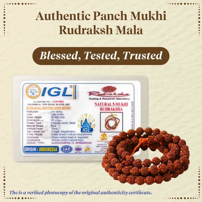 Pujashree Rudraksh Mala 4mm  Lightweight Sacred Bead Mala for Daily Wear & Meditation
