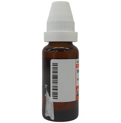 Dr. Willmar Schwabe Germany Sabal Serrulata Mother Tincture Q