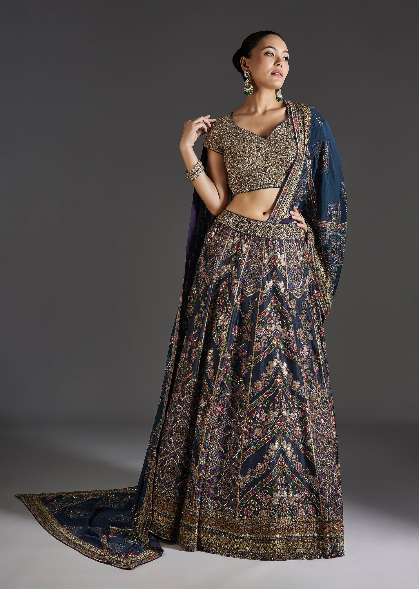 Navy Blue Lehenga With Regal Sparkle