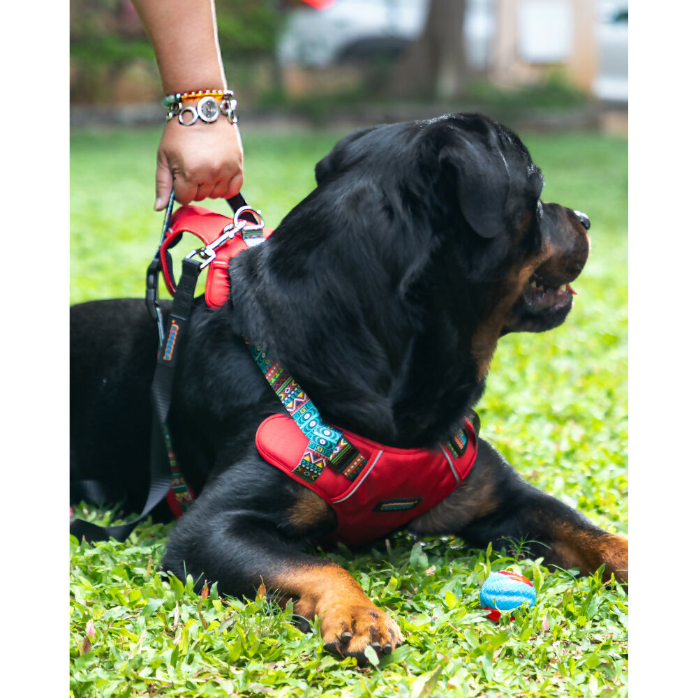 Waggety Adjustable Full Body Dog Harness - Comfortable Fit, Durable Polyester, Red