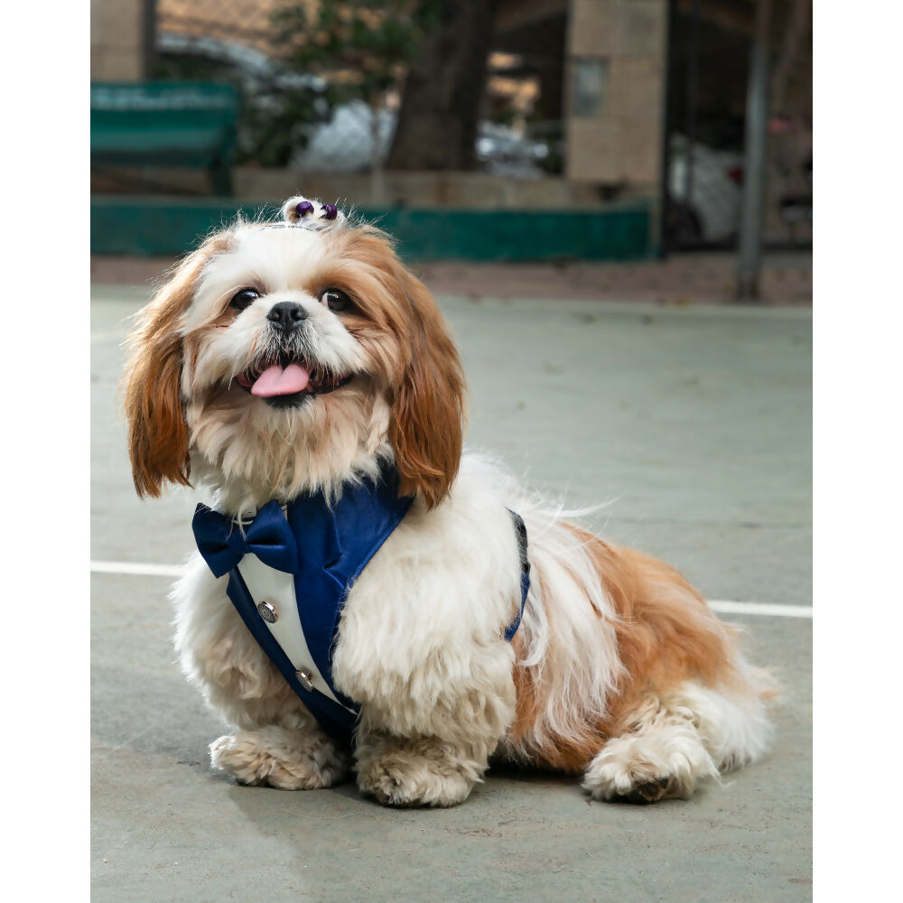 Waggety Tuxedo Dog Harness - Stylish Blue & White Design, Adjustable Fit, Durable Fabric, Elegant Pet Harness for Dogs