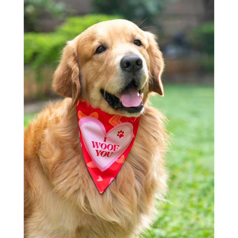 Waggety Dog Bandana - I Woof You, Soft Fabric, Stylish Pet Accessory for Dogs - Red