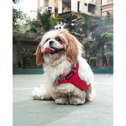 Waggety Adjustable Full Body Dog Harness - Comfortable Fit, Durable Polyester, Red
