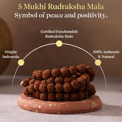 Pujashree Rudraksh Mala Large  Traditional Prayer Mala for Spiritual Healing, Chanting & Devotion