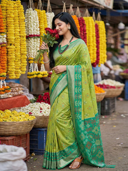Anaita Parrot Pochampally Silk Woven Saree With Blouse