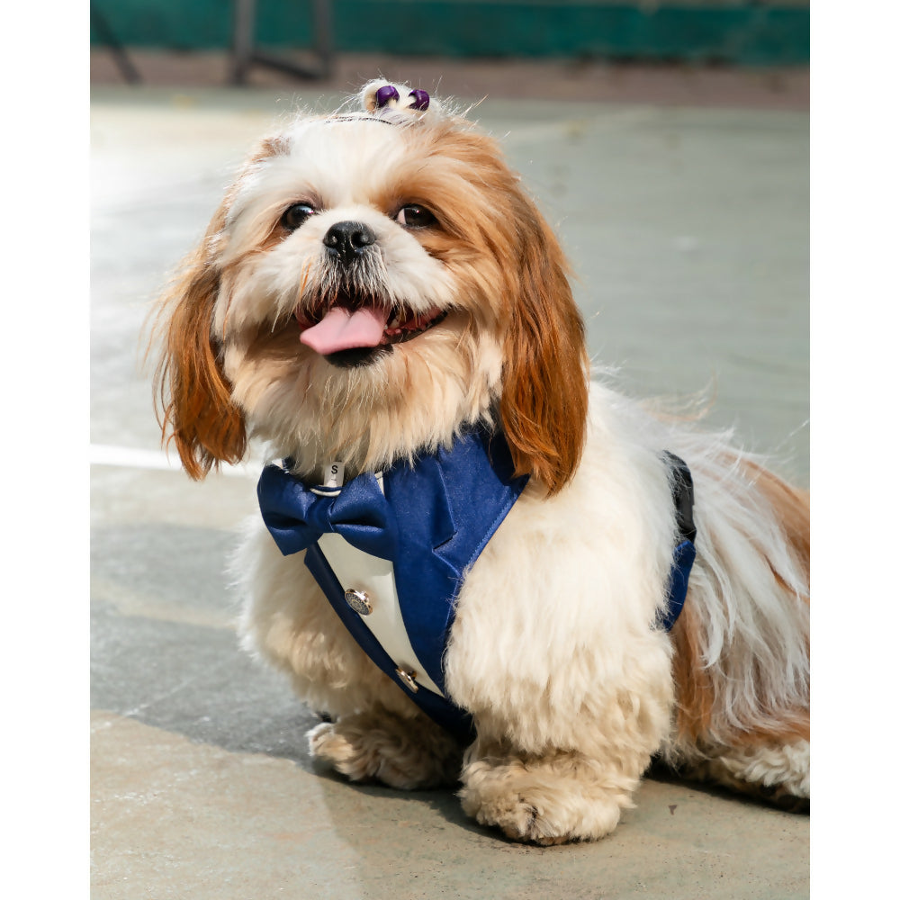 Waggety Tuxedo Dog Harness - Stylish Blue & White Design, Adjustable Fit, Durable Fabric, Elegant Pet Harness for Dogs