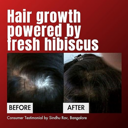Hibiscus Monkey HM Love Scalp & Hair Oil