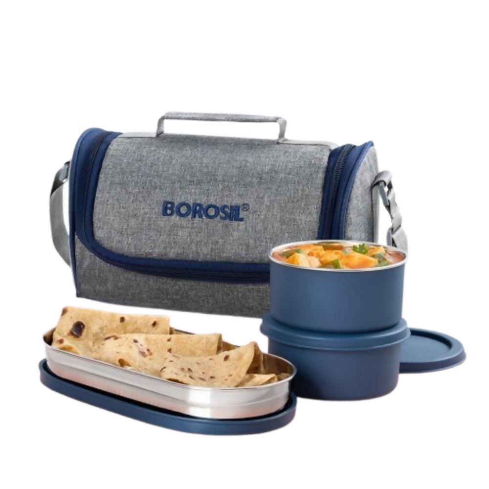 Borosil Carrymore Microwavable Stainless Steel Lunchbox with Bag
