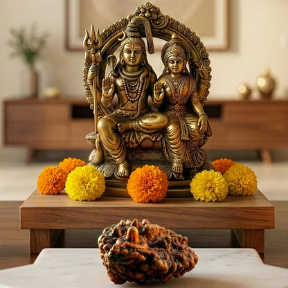 Pujashree Shivling Rudraksh  Divine Rudraksha for Lord Shiva Blessings, Spiritual Growth & Protection