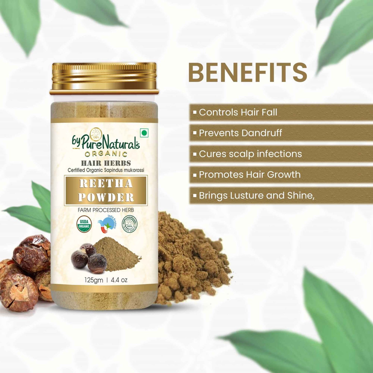 byPureNaturals Organic Reetha Powder