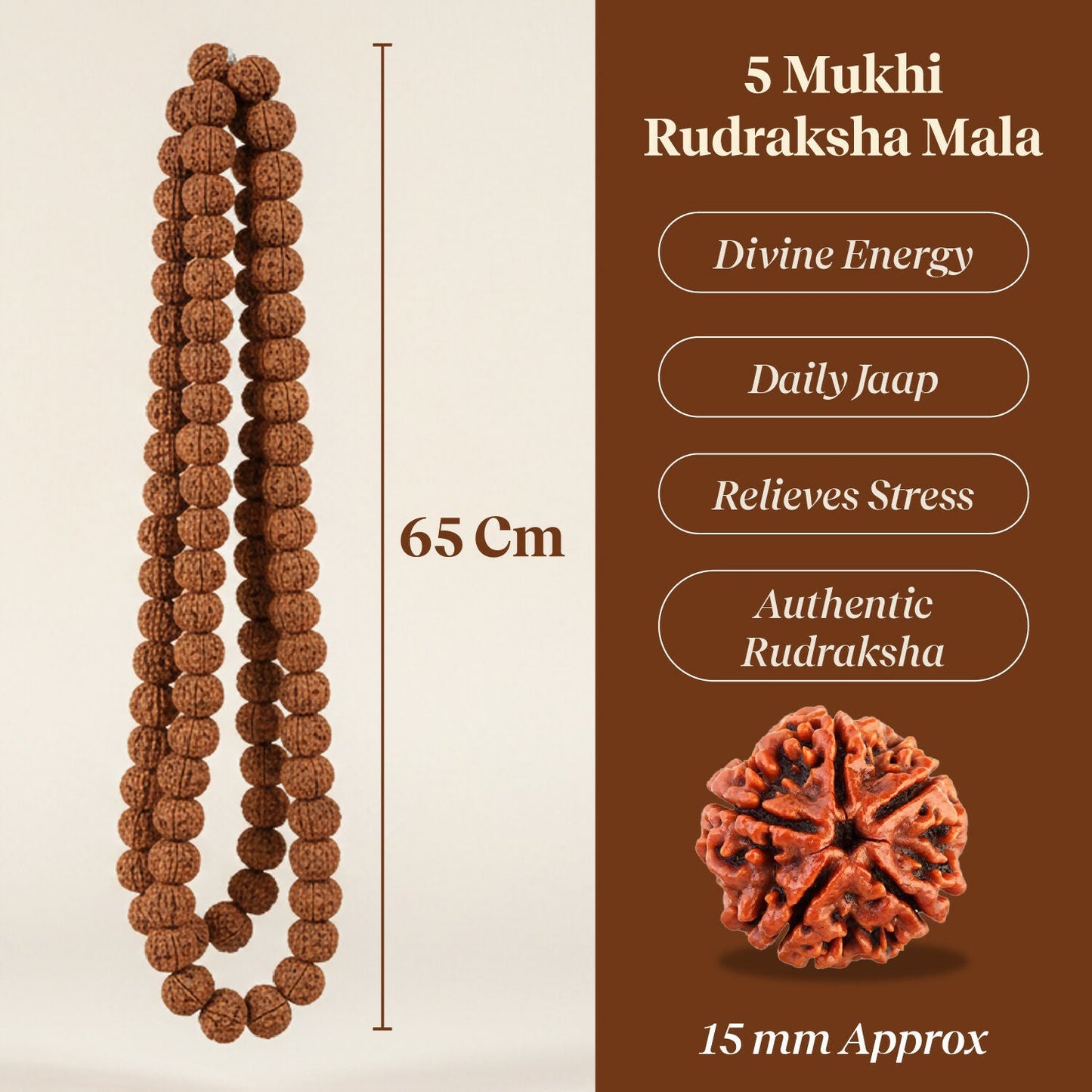 Pujashree Rudraksh Mala Large  Traditional Prayer Mala for Spiritual Healing, Chanting & Devotion