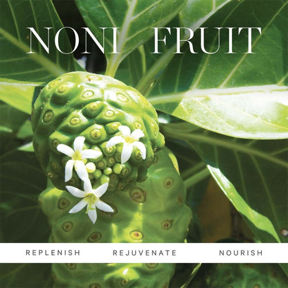 Kora Organics Noni Radiant Eye Oil