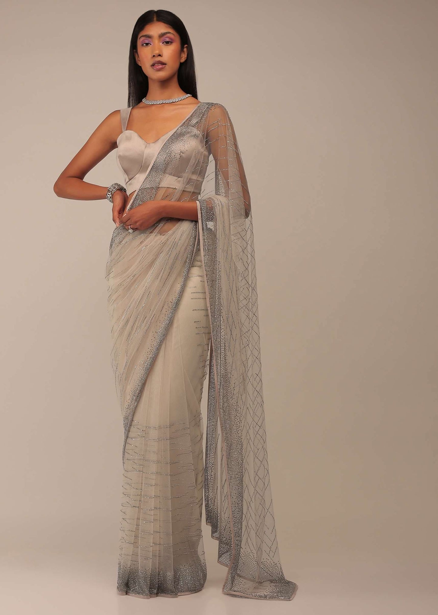 Silver Birch Saree With Stones Embellishment