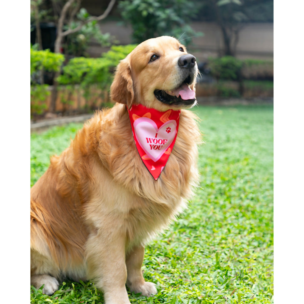 Waggety Dog Bandana - I Woof You, Soft Fabric, Stylish Pet Accessory for Dogs - Red
