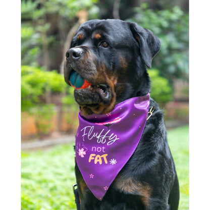 Waggety Dog Bandana - Fluffy Not Fat, Design Soft Fabric, Stylish Pet Accessory for Dogs - Purple